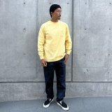 STANDARD CALIFORNIA新作入荷