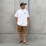 STANDARD CALIFORNIA. 新作入荷 2026/5/17
