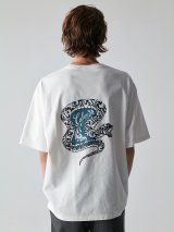 CALEE新作入荷 2026/5/30