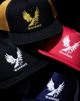 RADIALL 新作入荷 2026/6/6