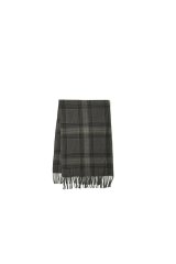 OLD JOE 新作入荷 2026/10/18