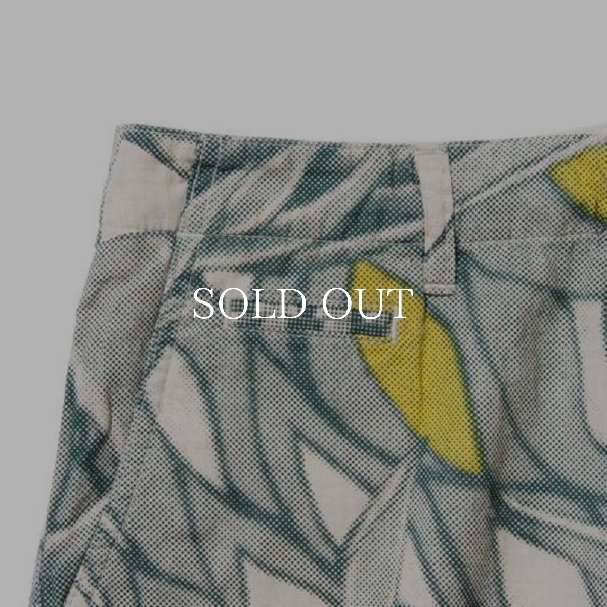 画像4: Back Channel / PLANTS LINEN SHORTS (4)