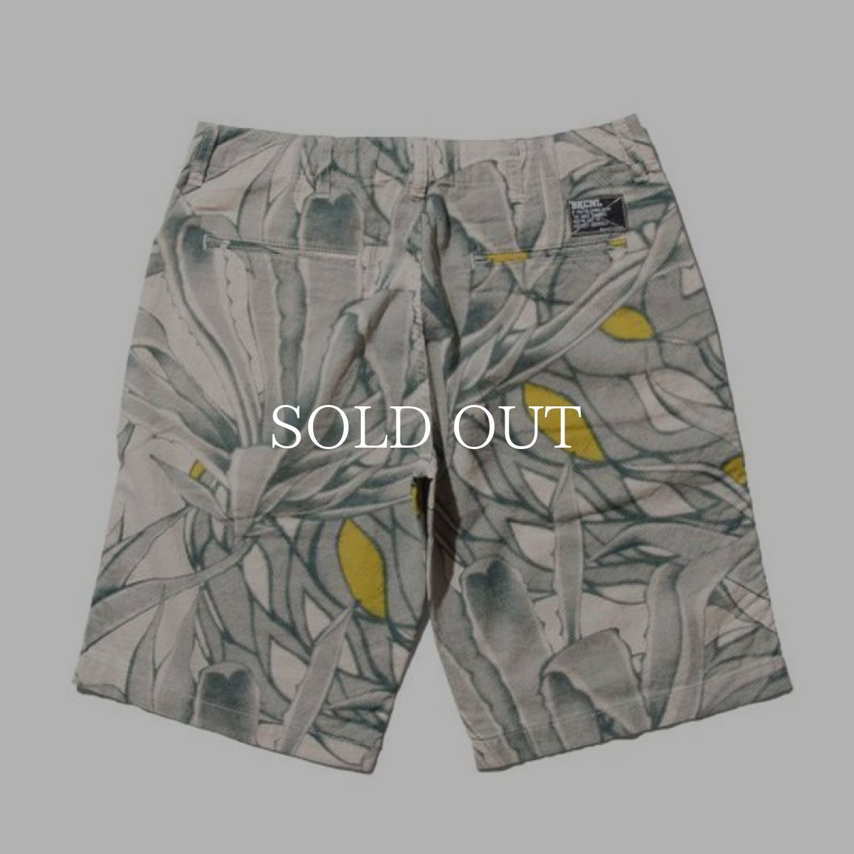 画像3: Back Channel / PLANTS LINEN SHORTS (3)