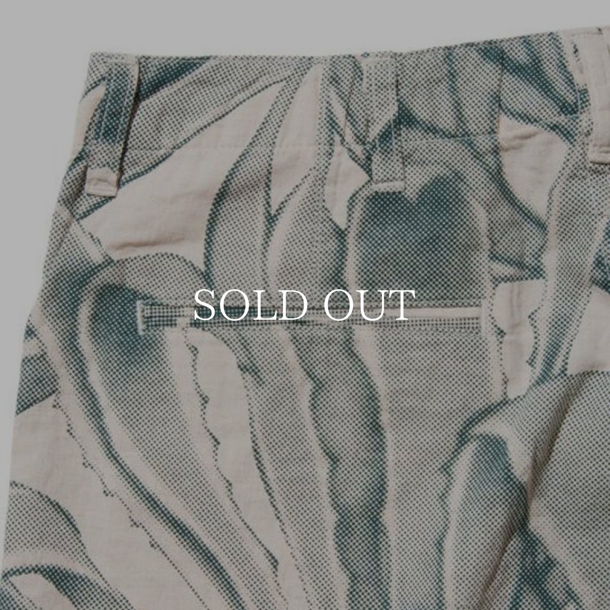 画像7: Back Channel / PLANTS LINEN SHORTS (7)