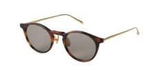 画像1: A.D.S.R.  COLIN 05 (Havana Brown / Gold / Gray(Clear)) (1)