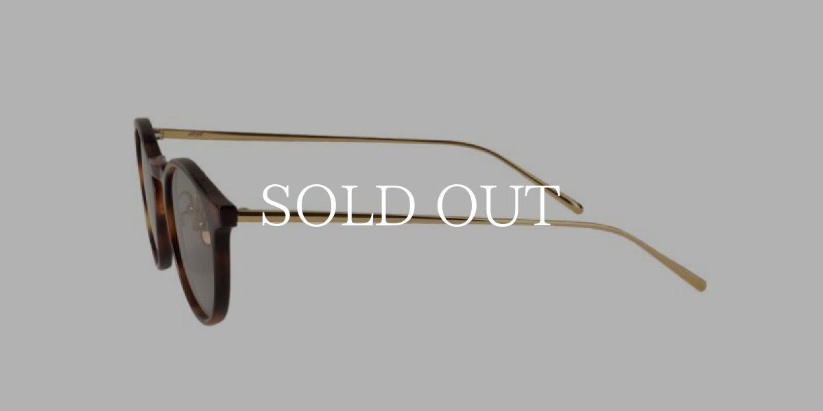 画像3: A.D.S.R.  COLIN 05 (Havana Brown / Gold / Gray(Clear)) (3)