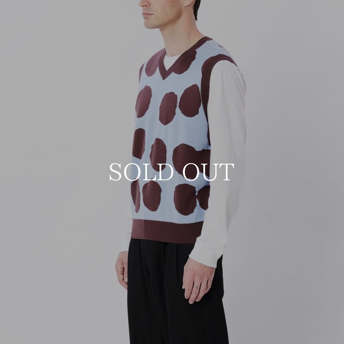 画像3: OBEY   DOTTED SWEATER VEST (DIGITAL VIOLET MULTI) (3)