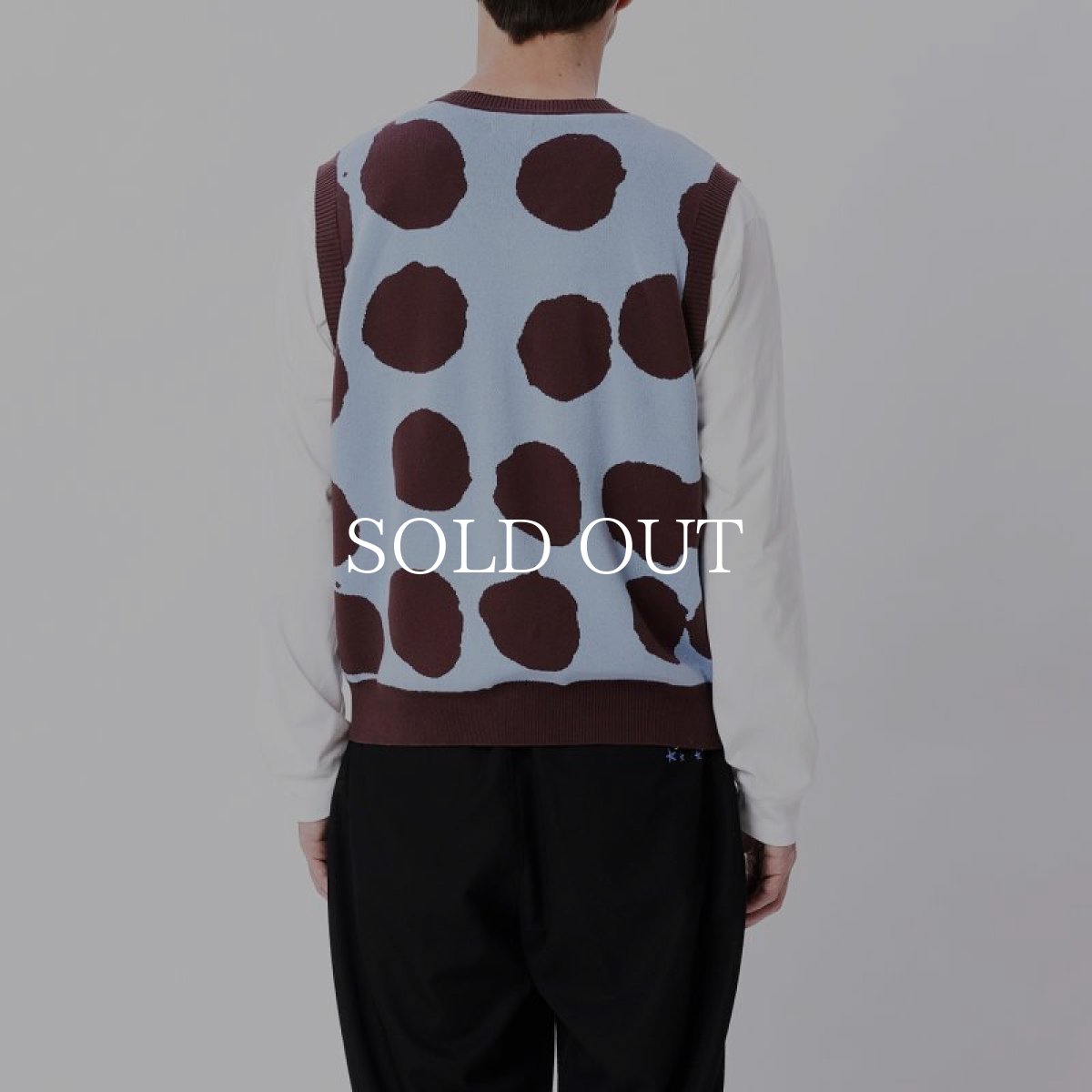 画像4: OBEY   DOTTED SWEATER VEST (DIGITAL VIOLET MULTI) (4)