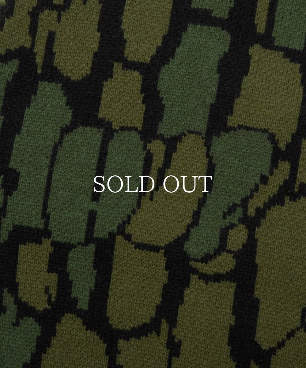 画像3: HUF  HUDSON CAMO ZIP VEST (CAMO) (3)