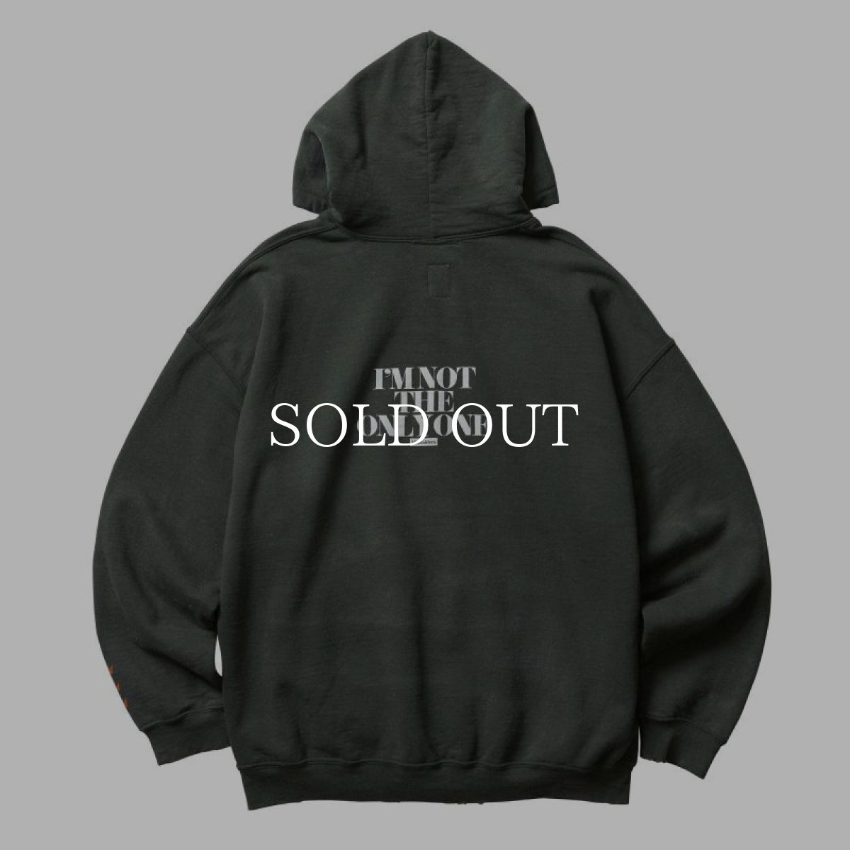 画像2: Liberaiders  VINTAGE WASH HOODIE (GREEN) (2)