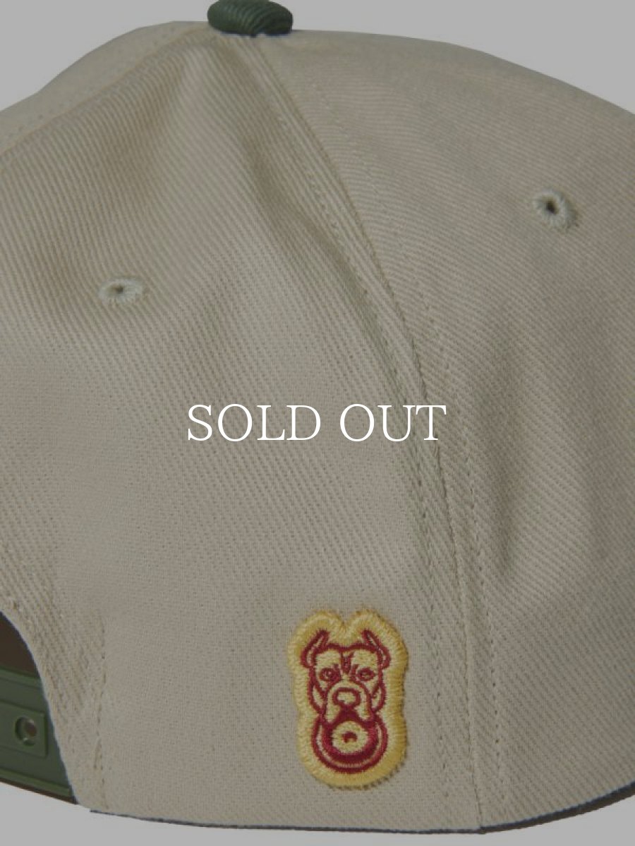 画像4: RADIALL  LOW LANE TRUCKER CAP (Beige) (4)