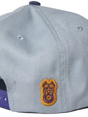 画像4: RADIALL  LOW LANE TRUCKER CAP (Gray) (4)