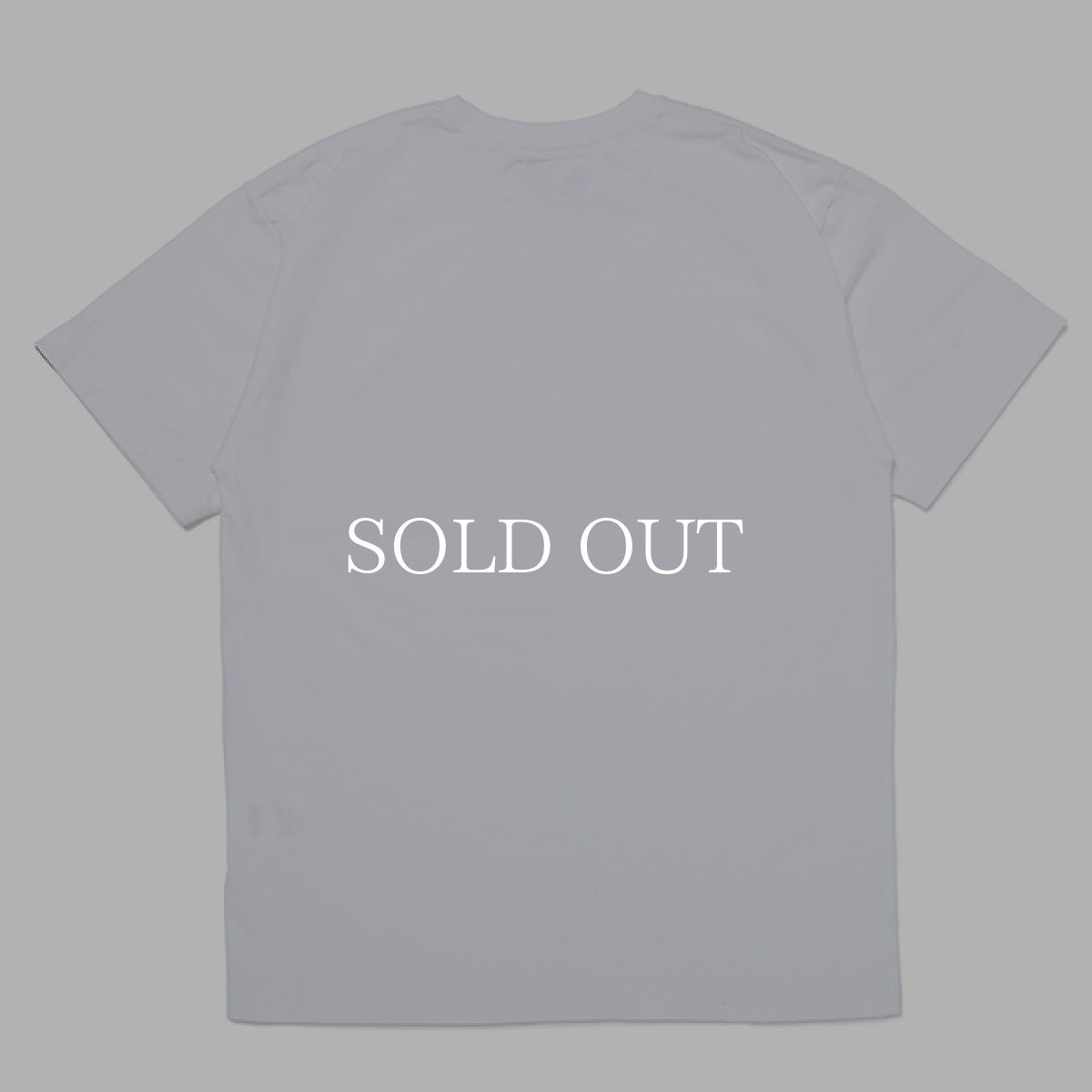 画像4: CHALLENGER  COLLEGE TEE (WHITE) (4)