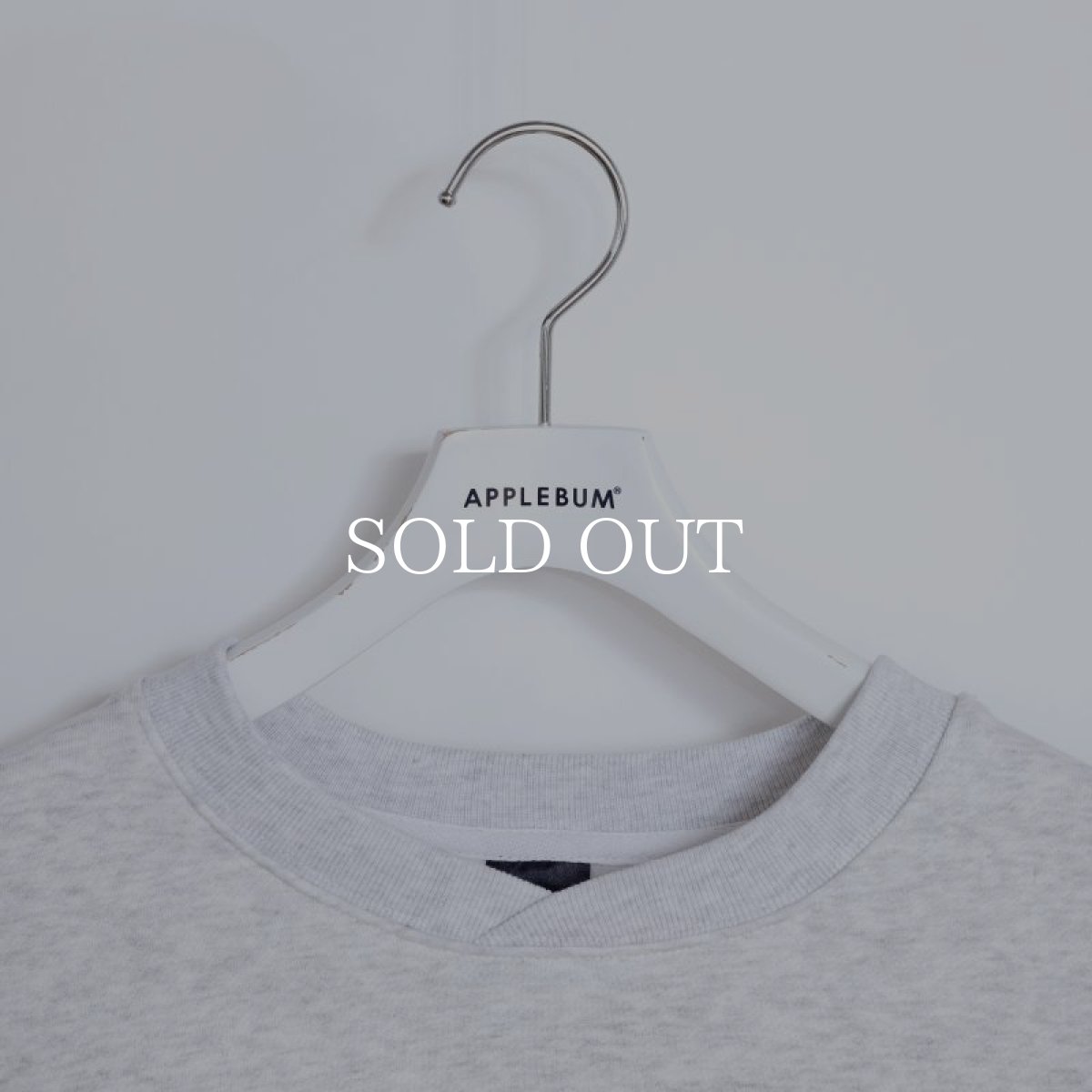 画像6: APPLEBUM  "Japanese Gangster"Crew Sweat (Ash) (6)