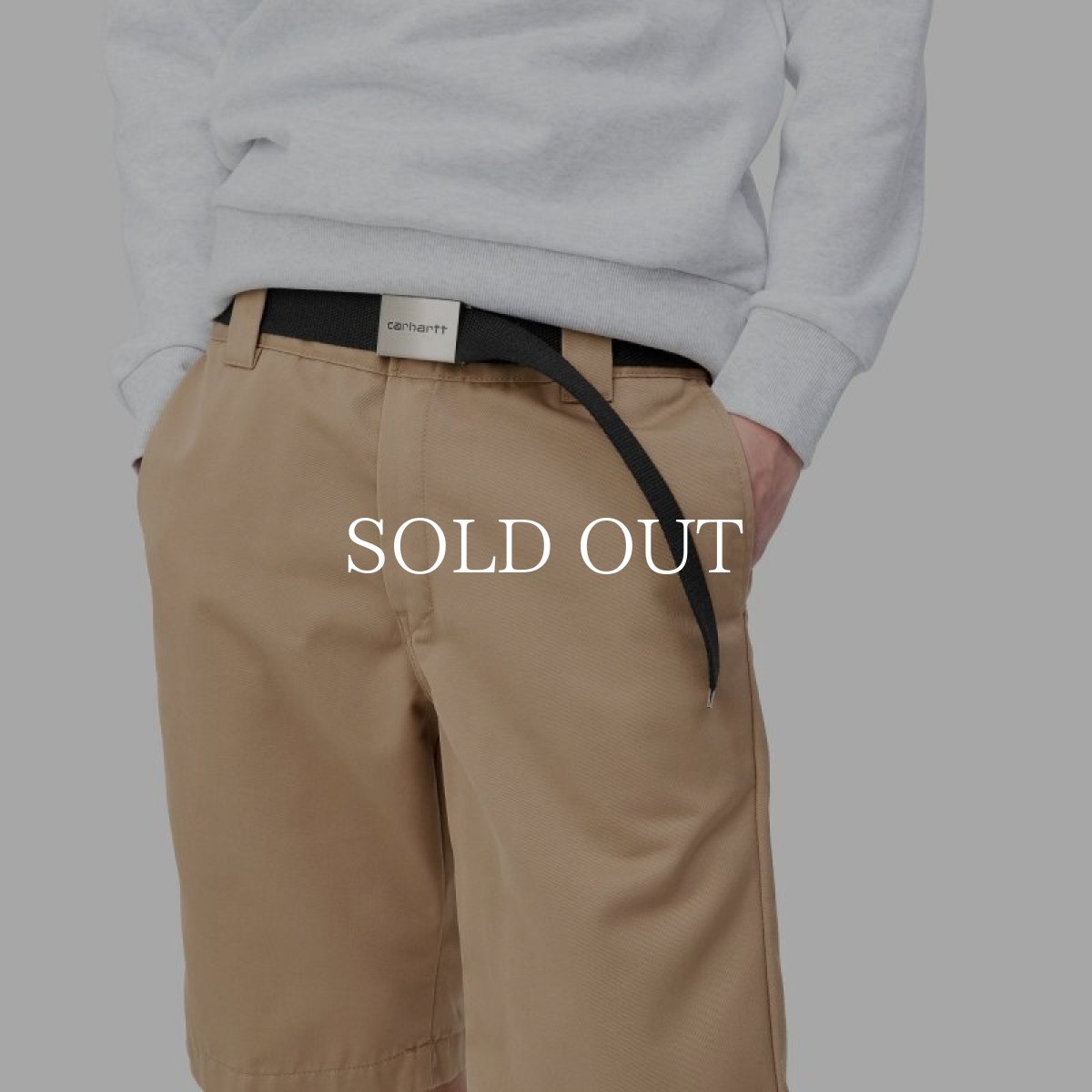 画像5: CARHARTT WIP  CLIP BELT CHROME (5)