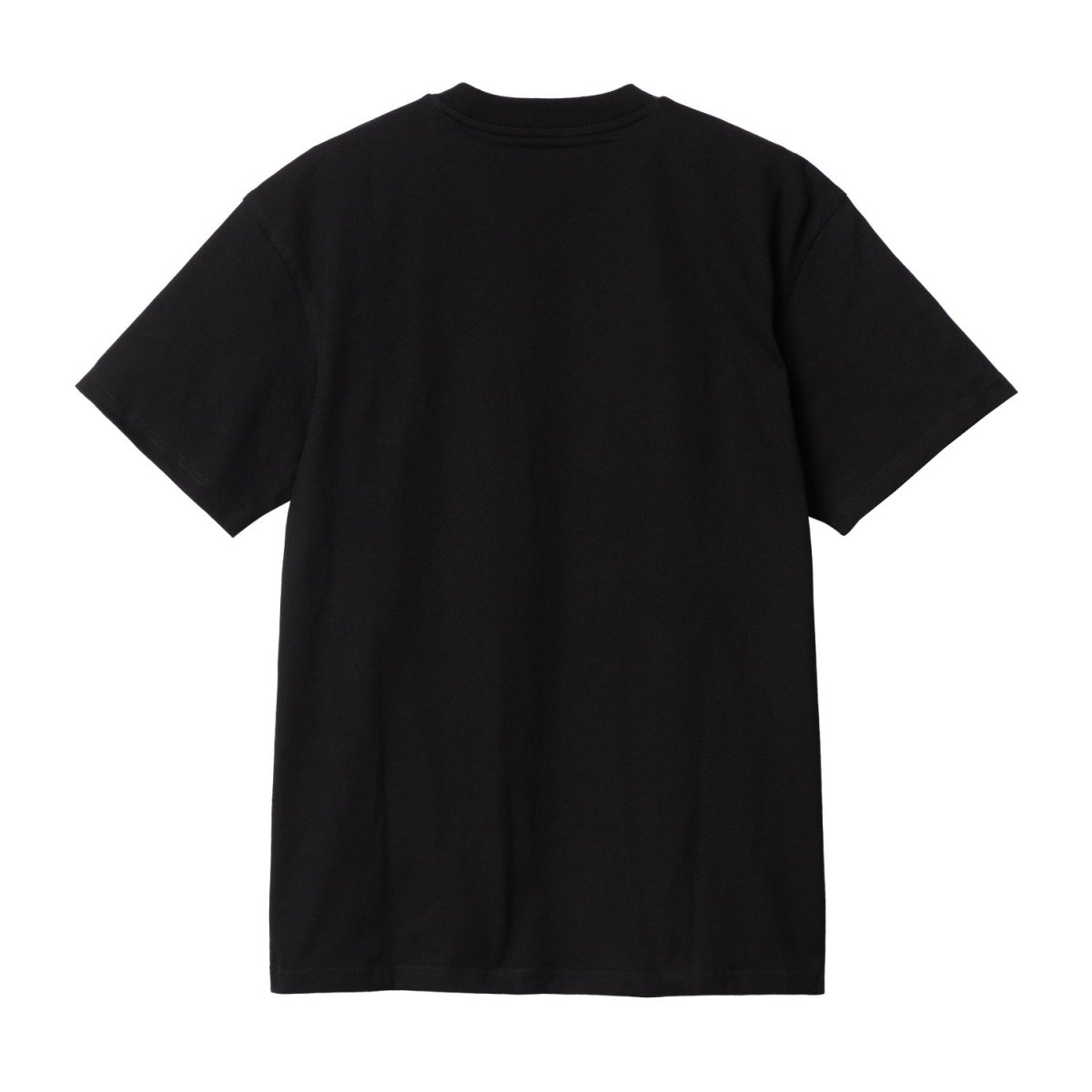 画像2: CARHARTT WIP  S/S AMERICAN SCRIPT T-SHIRT (2)