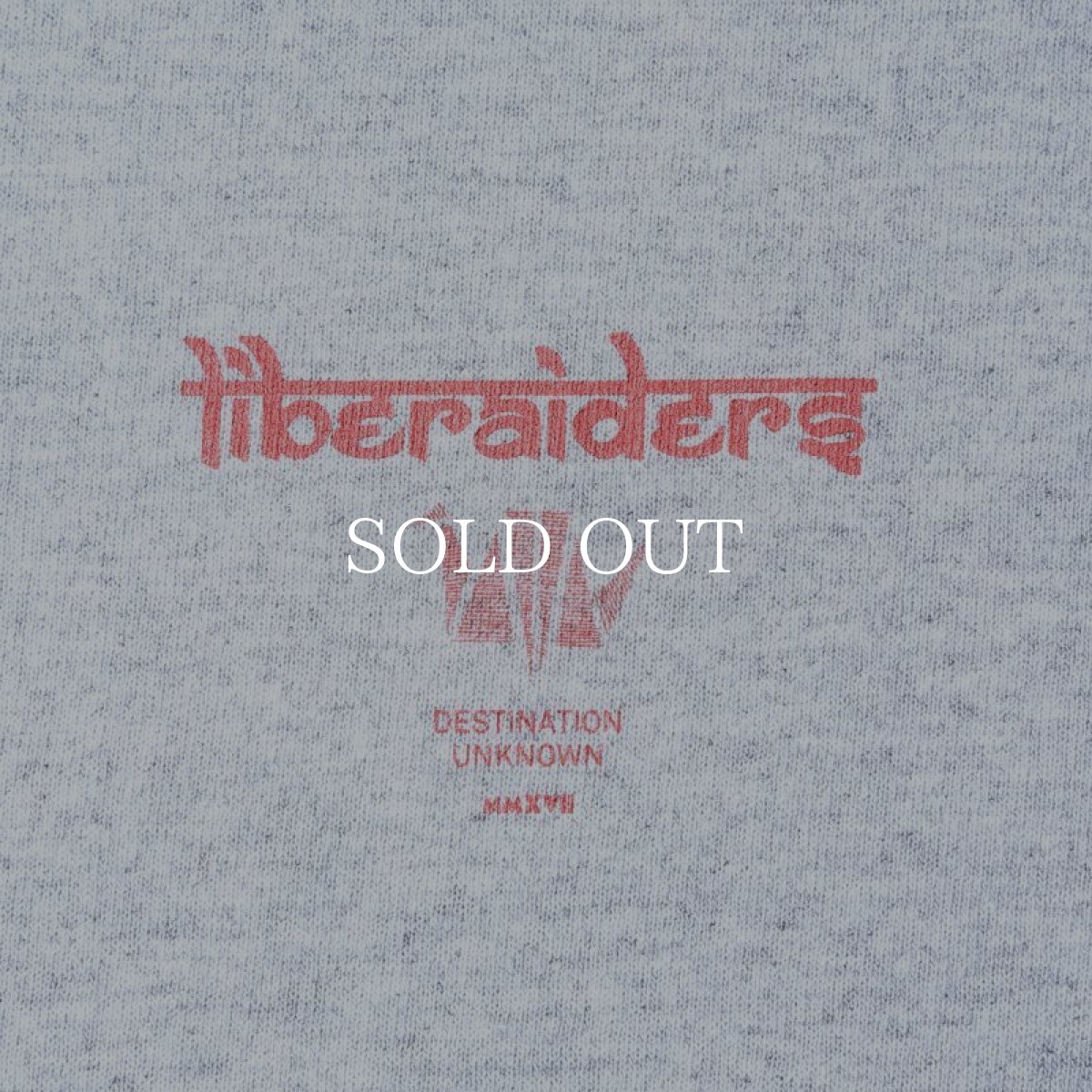 画像3: Liberaiders  LR LOGO L/S TEE (GRAY) (3)