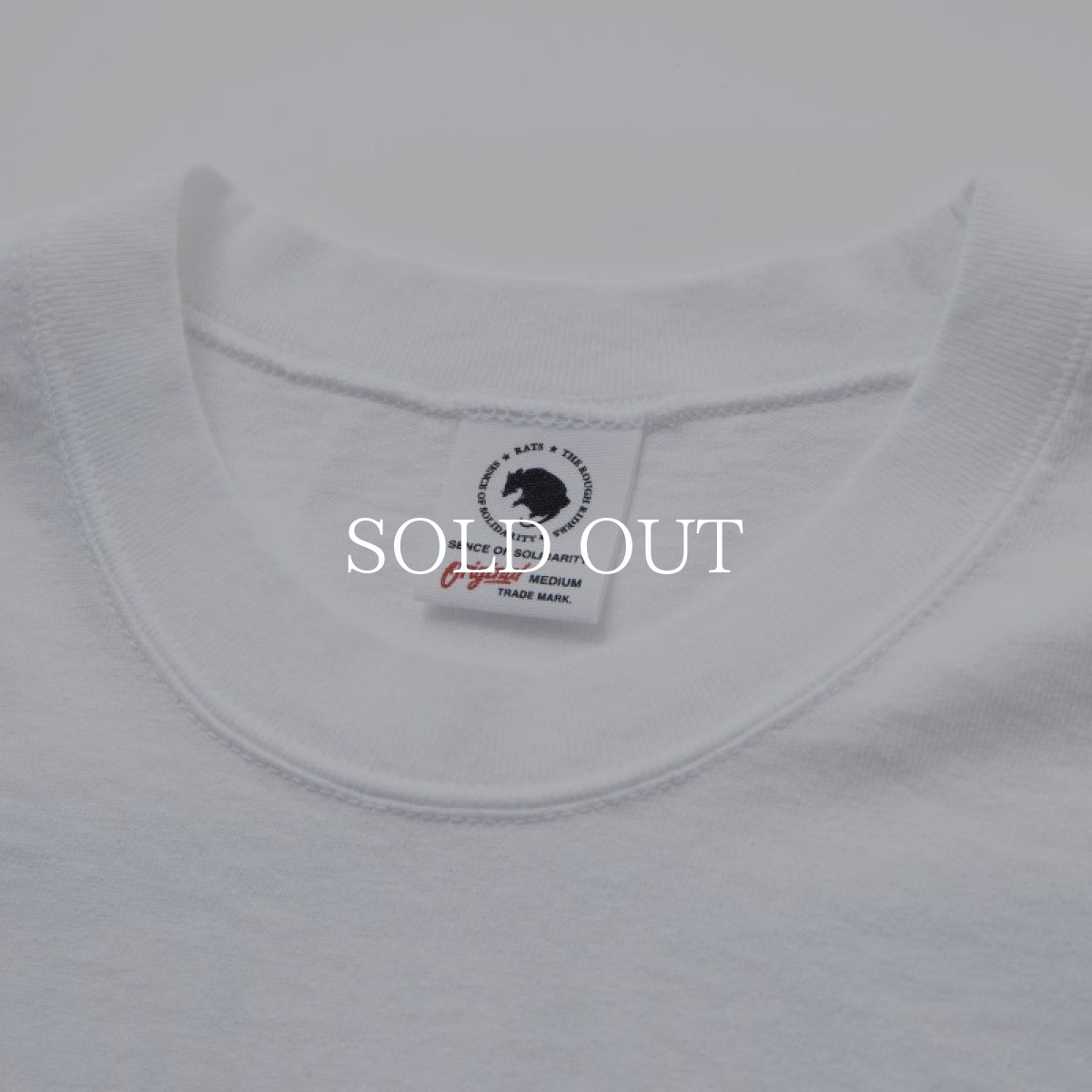 画像7: RATS  TWO WHEEL L/S TEE (WHITExGREEN) (7)