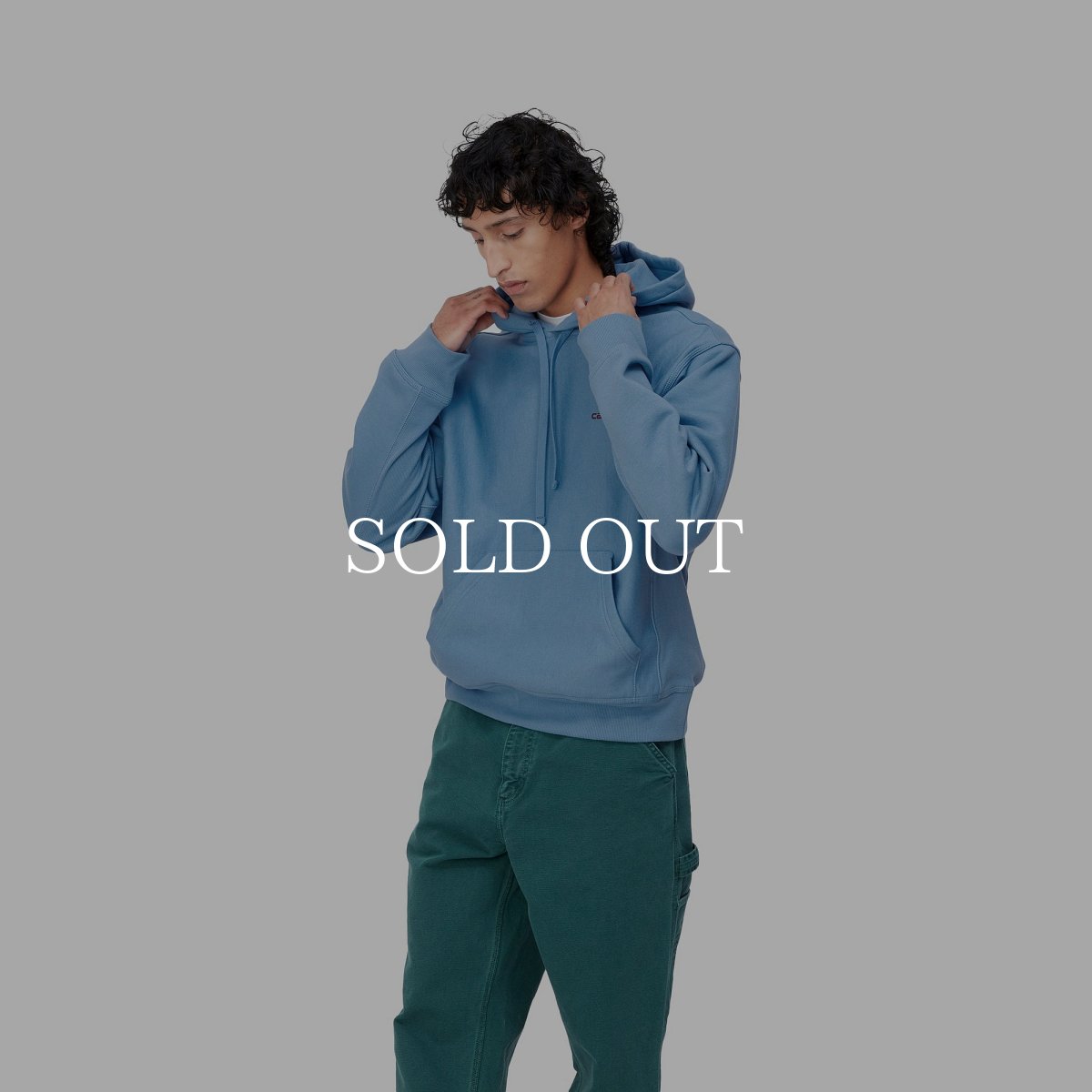 画像3: CARHARTT WIP  HOODED AMERICAN SCRIPT SWEATSHIRT (Piscine) (3)