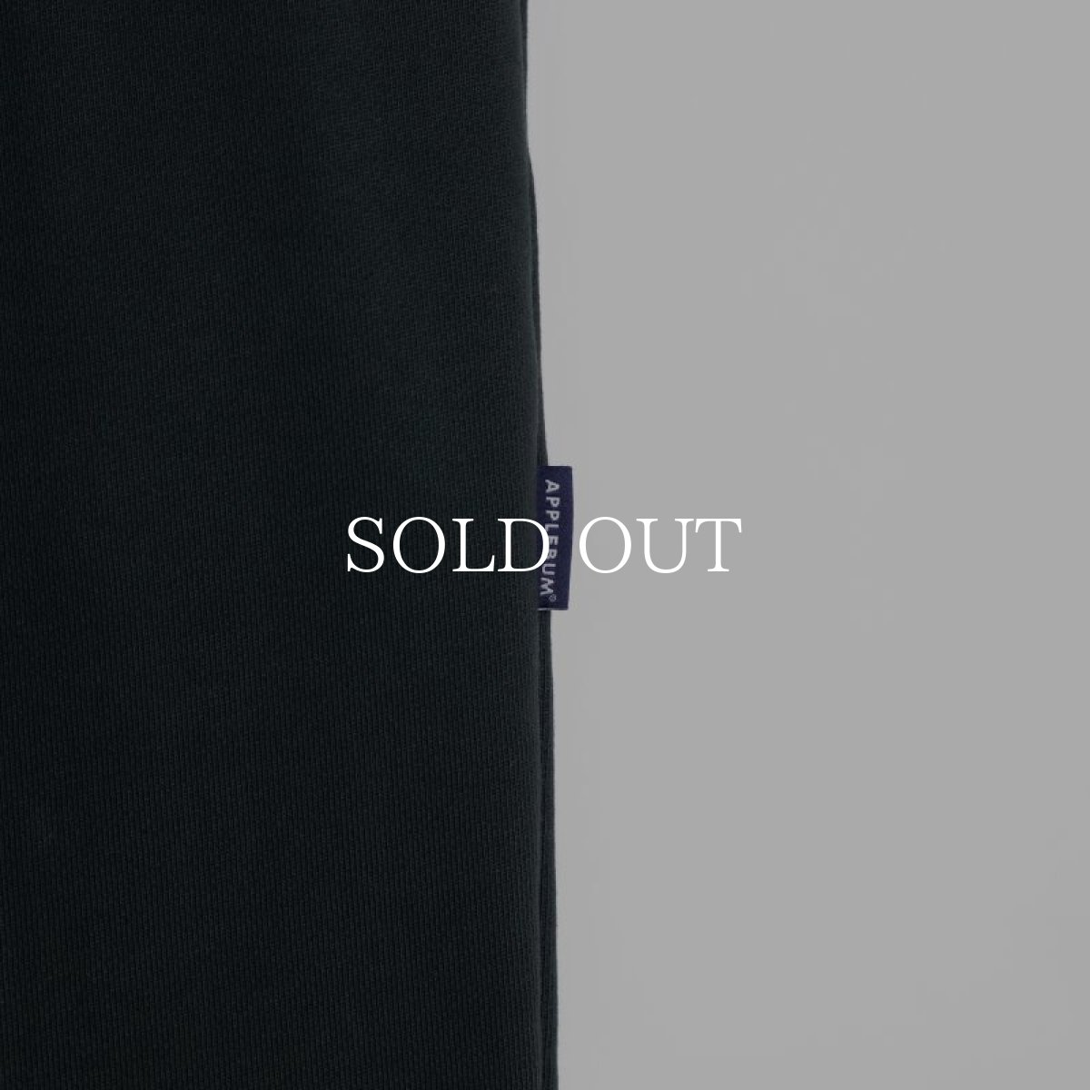 画像10: APPLEBUM  Center Pleats Sweat Pants (Dark Green) (10)