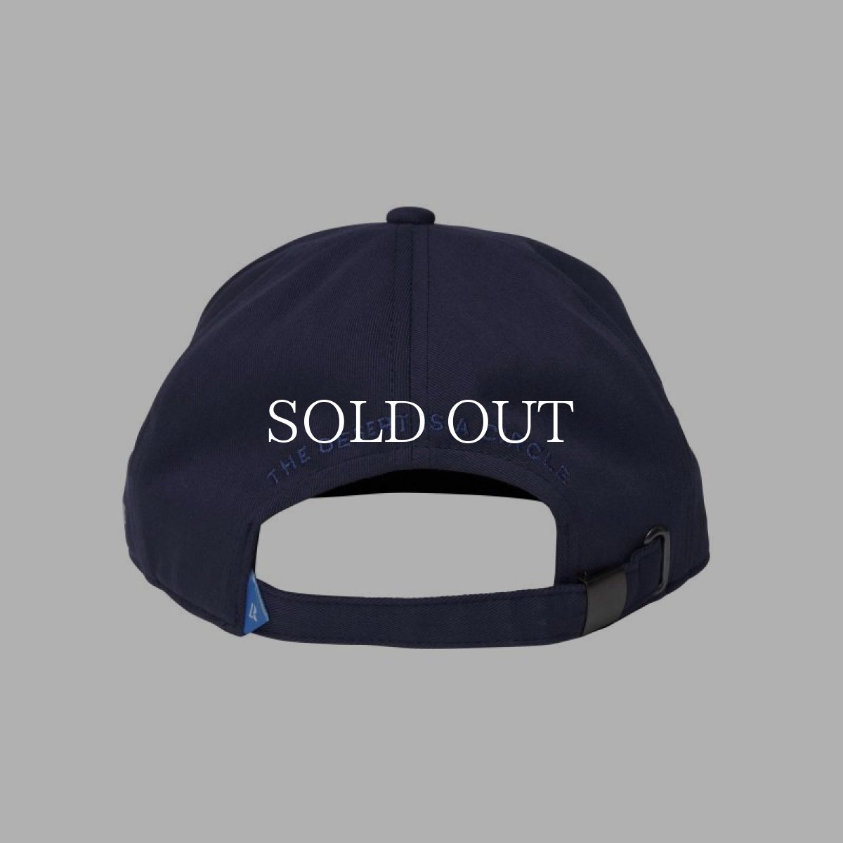画像4: Liberaiders  DESERT LOGO CAP (NAVY) (4)