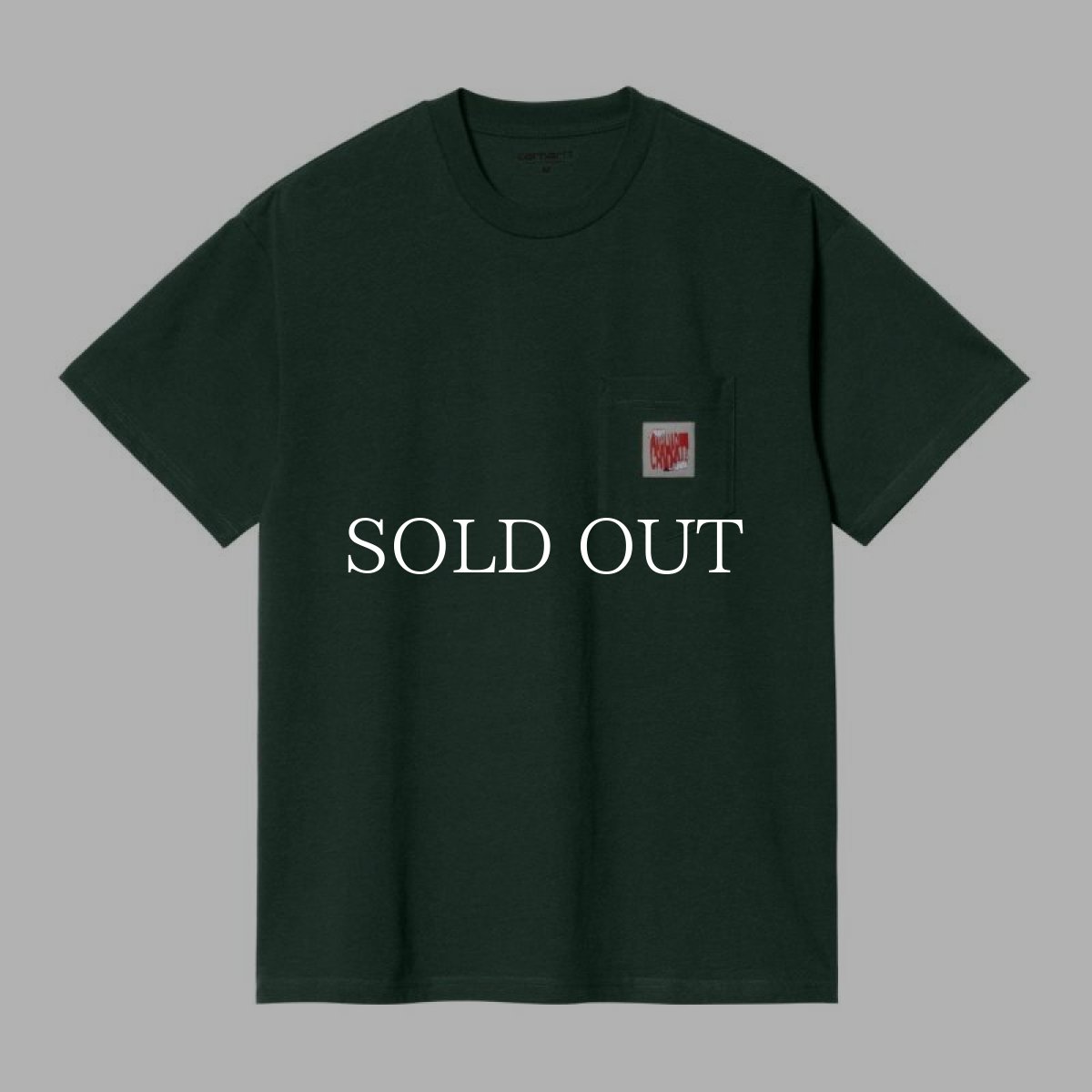画像1: CARHARTT WIP  S/S STRETCH POCKET T-SHIRT (Botanic Heather) (1)