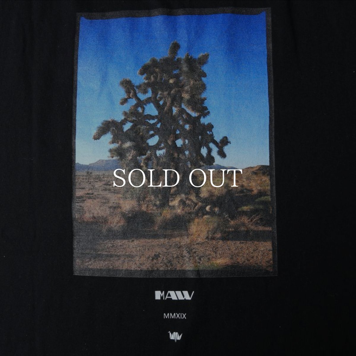 画像4: Liberaiders  MAW HIGH DESERT TEE (BLACK) (4)