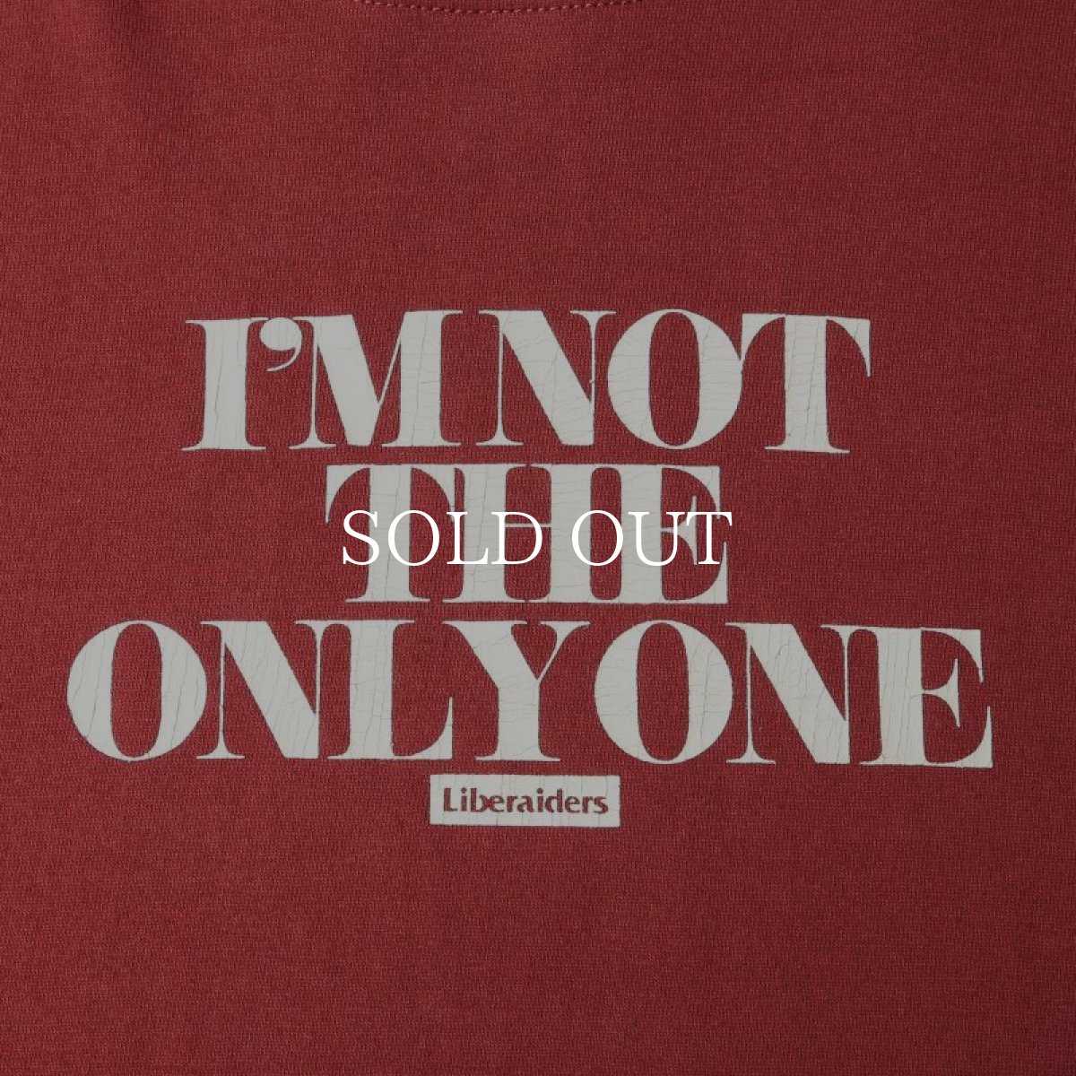 画像3: Liberaiders  I’M NOT THE ONLY ONE TEE (BURGUNDY) (3)