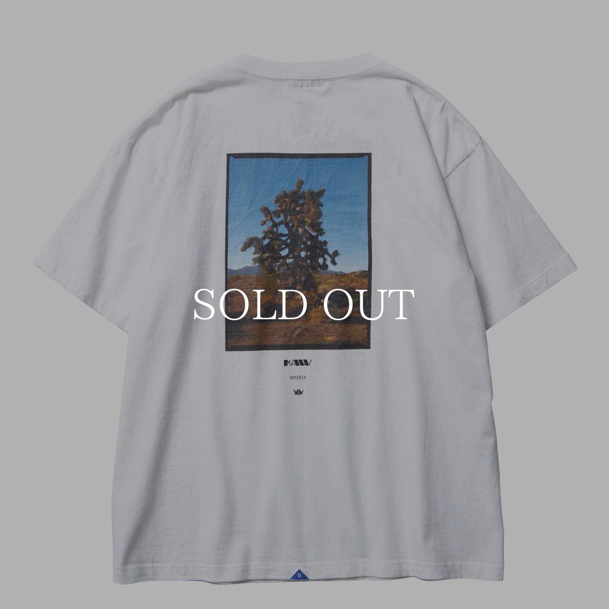 画像2: Liberaiders  MAW HIGH DESERT TEE (WHITE) (2)