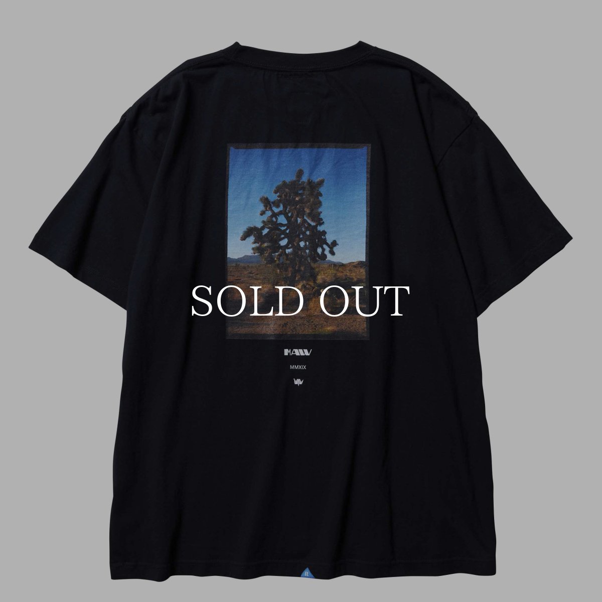 画像2: Liberaiders  MAW HIGH DESERT TEE (BLACK) (2)