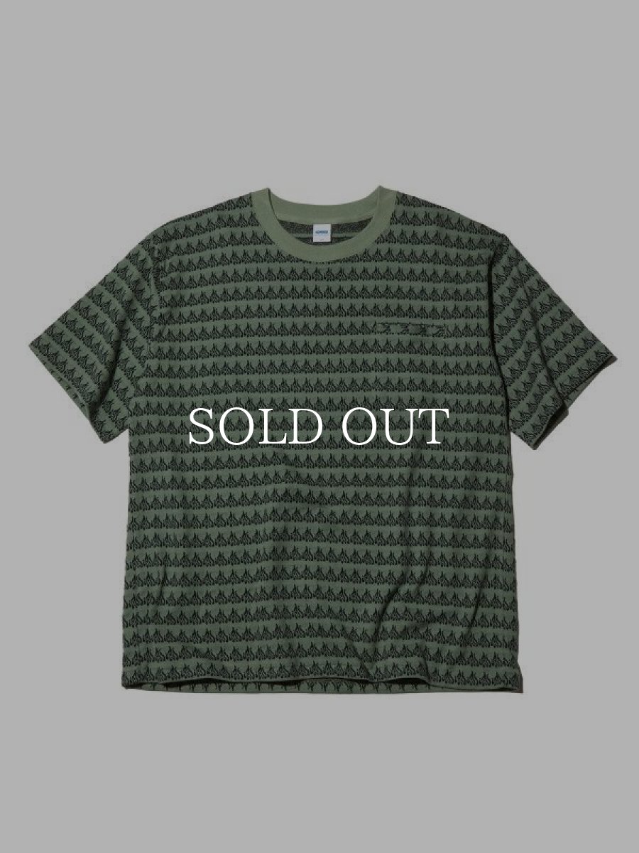 画像1: RADIALL  FLAMES-CREW NECK T-SHIRT S/S (Sage Green) (1)