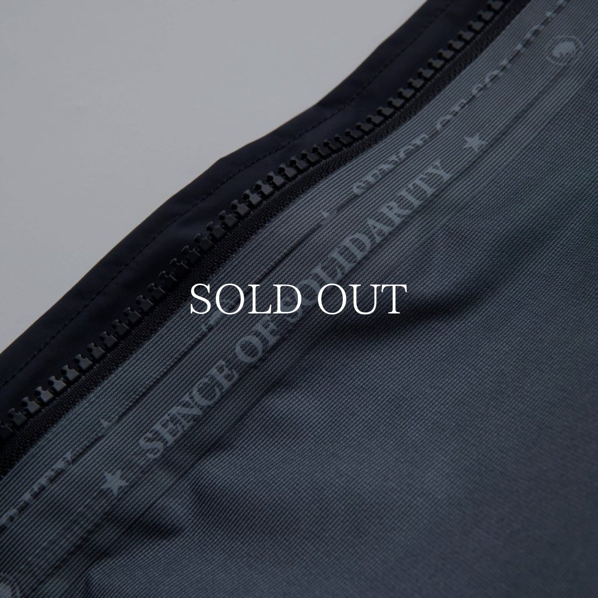 画像10: RATS  FLIGHT PARKA (BLACK) (10)