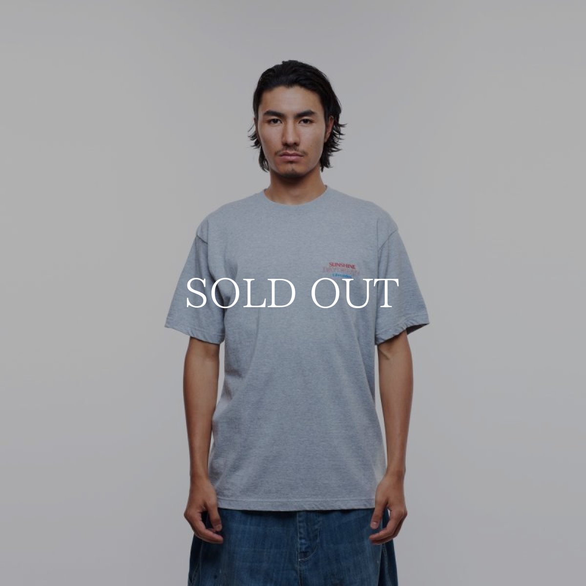 画像6: Liberaiders  DAYDREAM TEE (GRAY) (6)