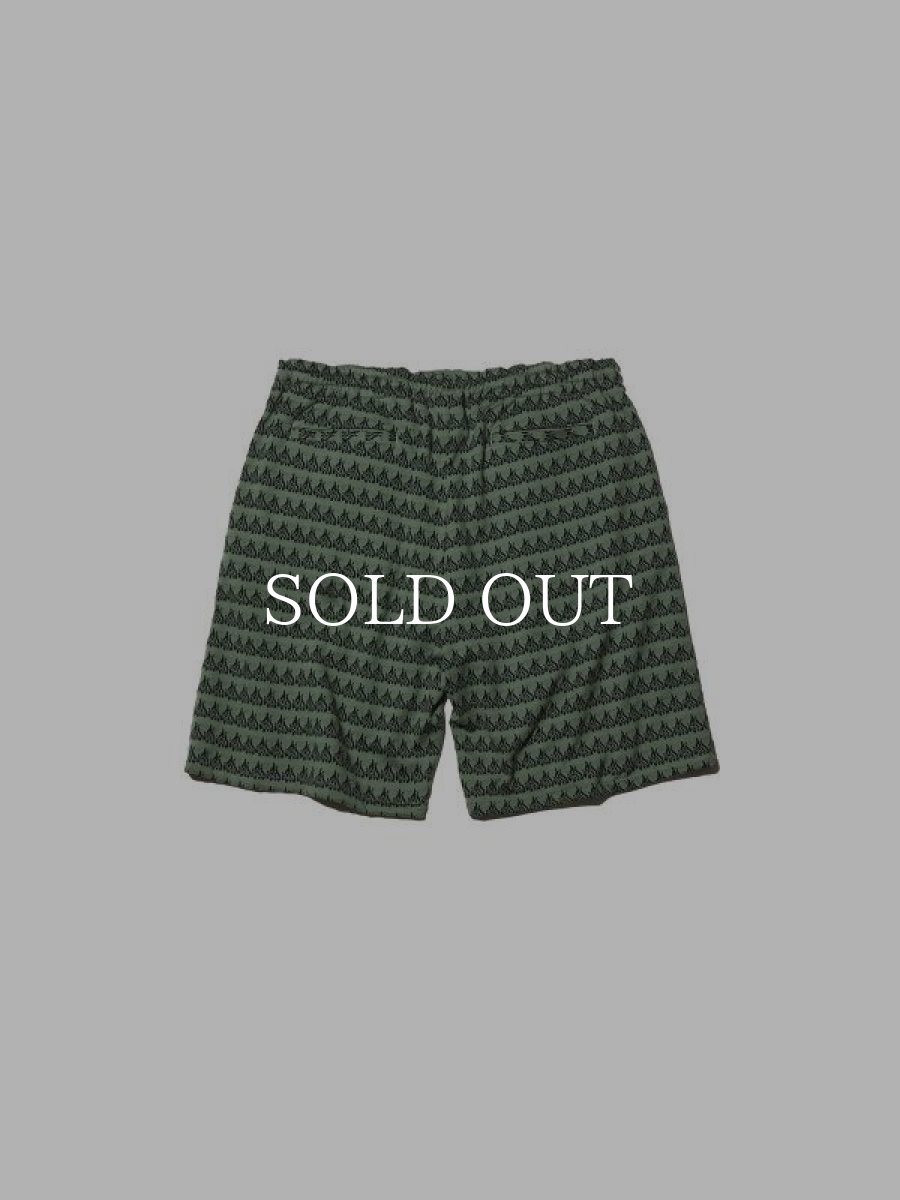 画像2: RADIALL  FLAMES - STRAIGHT FIT EASY PANTS (Sage Green) (2)