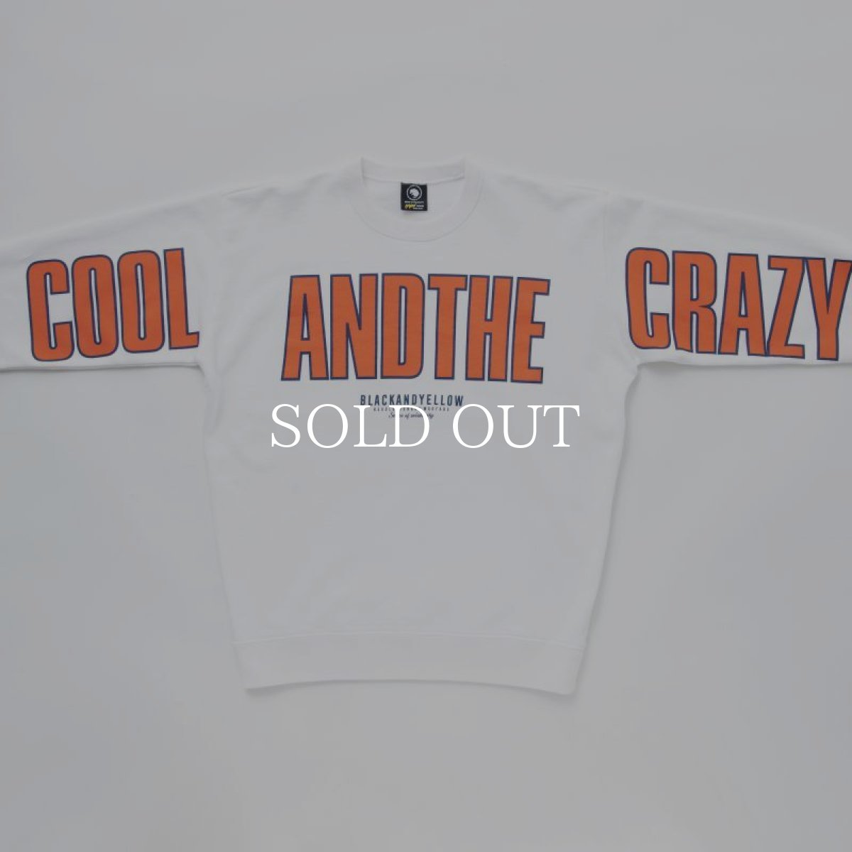 画像3: RATS  BIG LOGO CREW NECK SWEAT (WHITE) (3)