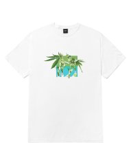 画像1: HUF  HUF X ALIENLABS H-WING TEE (WHITE) (1)