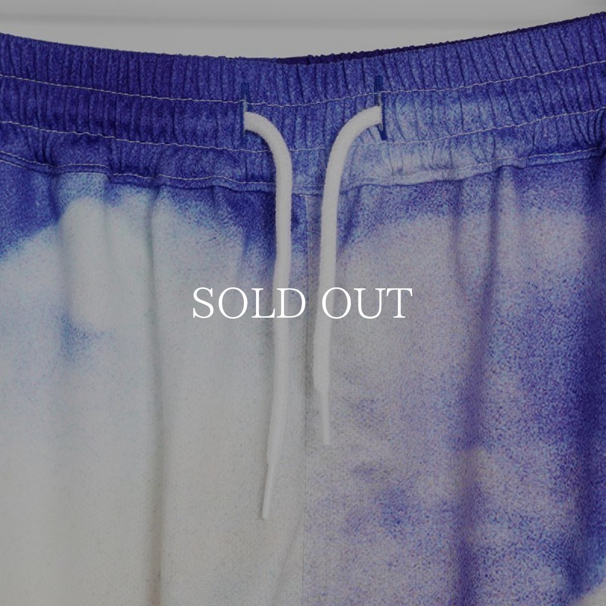 画像6: APPLEBUM  "Sky's The Limit" Short Pants (Sky's The Limit) (6)