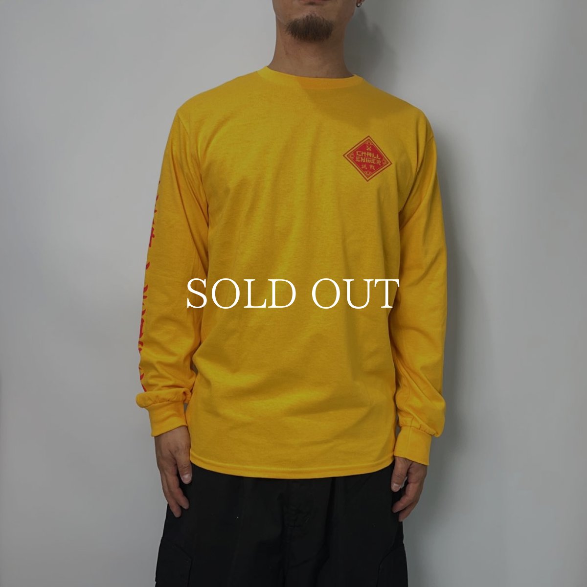 画像5: CHALLENGER  BD 2023 TOUR L/S TEE (YELLOW) (5)