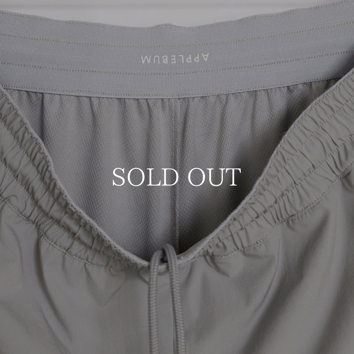 画像10: APPLEBUM  Elite Performance Basketball Shorts "G" (Gray) (10)