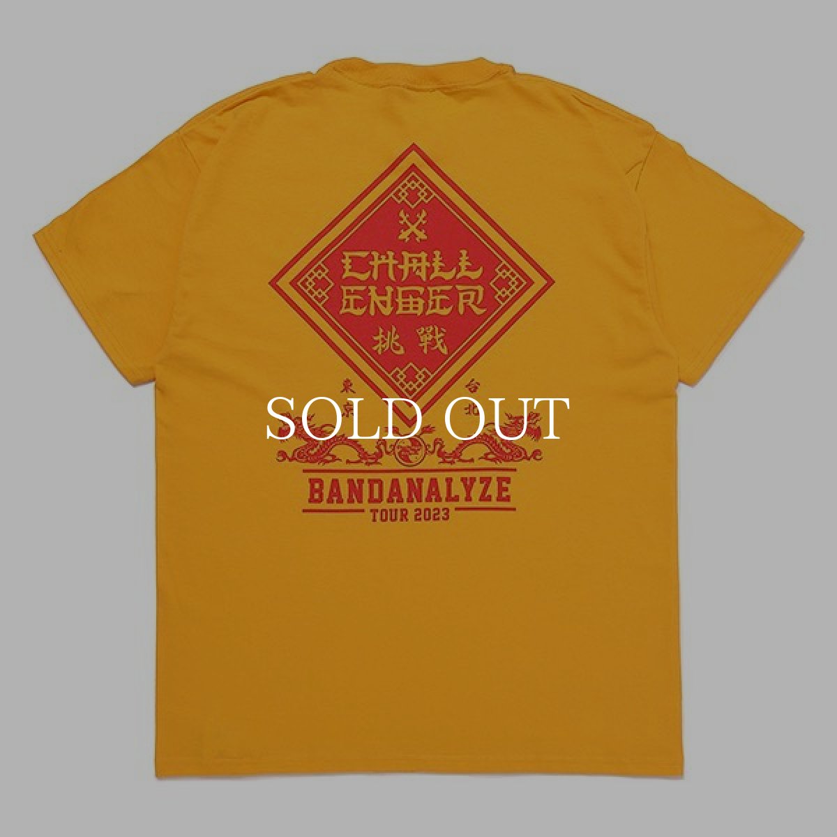画像2: CHALLENGER  BD 2023 TOUR TEE (YELLOW) (2)