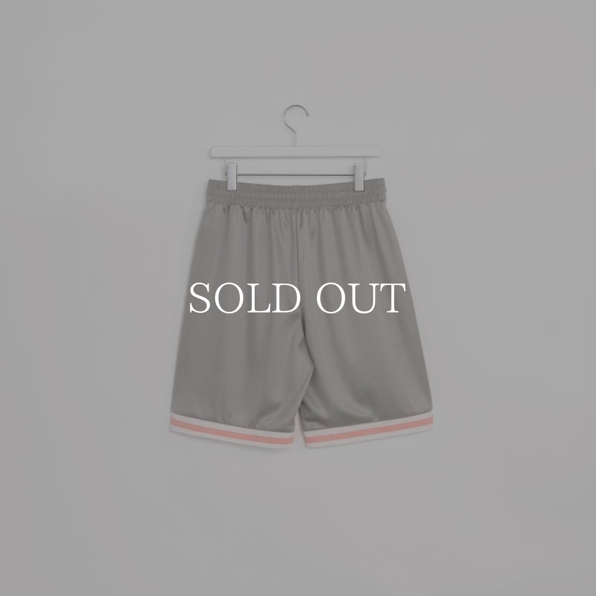 画像6: APPLEBUM  Elite Performance Basketball Shorts "G" (Gray) (6)