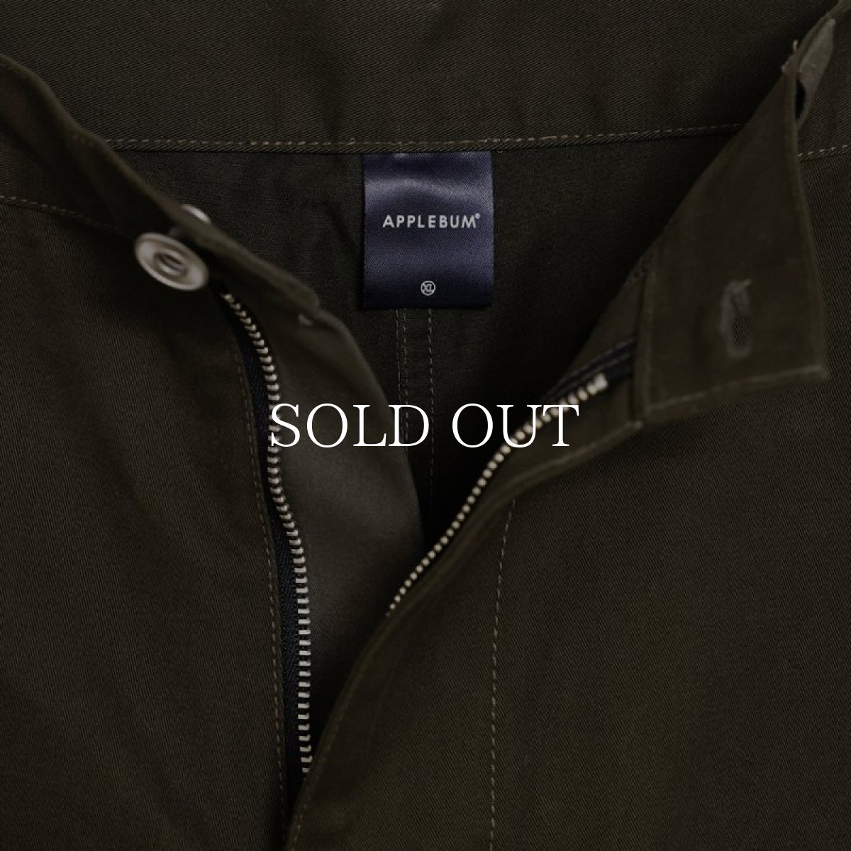 画像6: APPLEBUM  Big Cargo Short Pants (Olive) (6)