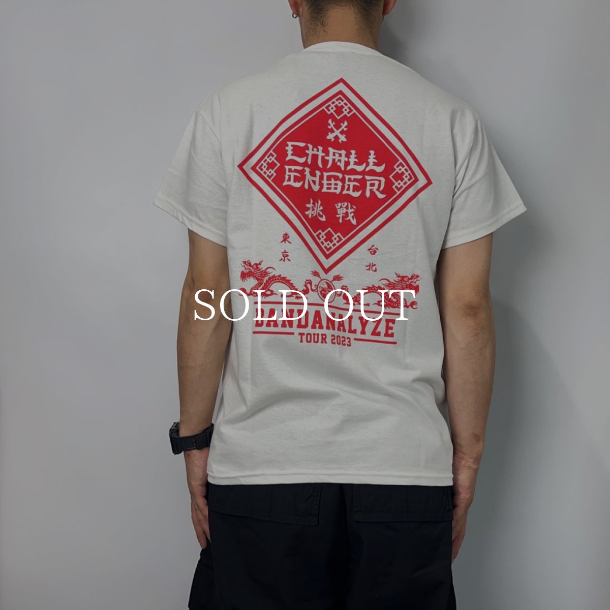 画像4: CHALLENGER  BD 2023 TOUR TEE (WHITE) (4)