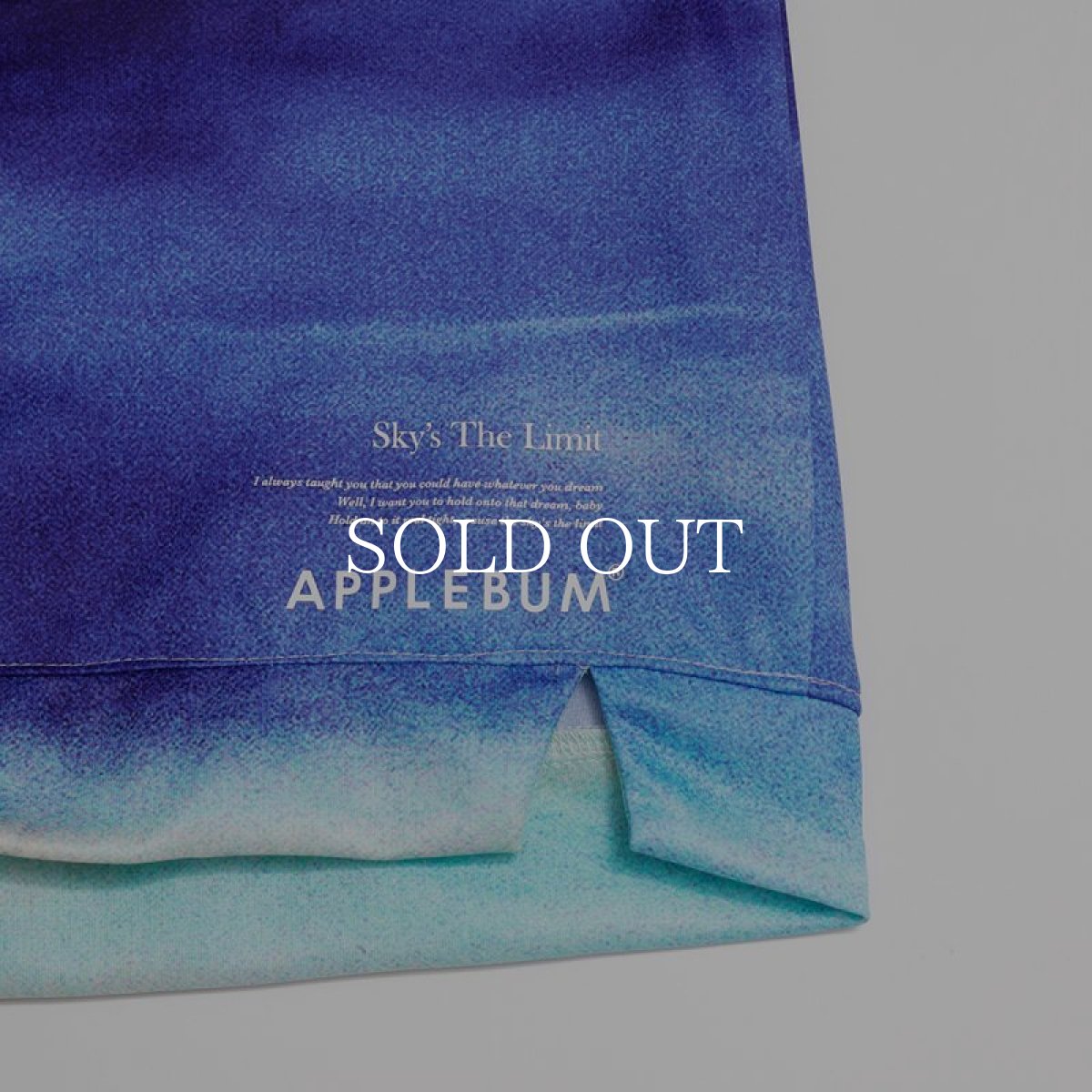 画像5: APPLEBUM  "Sky's The Limit" Short Pants (Sky's The Limit) (5)