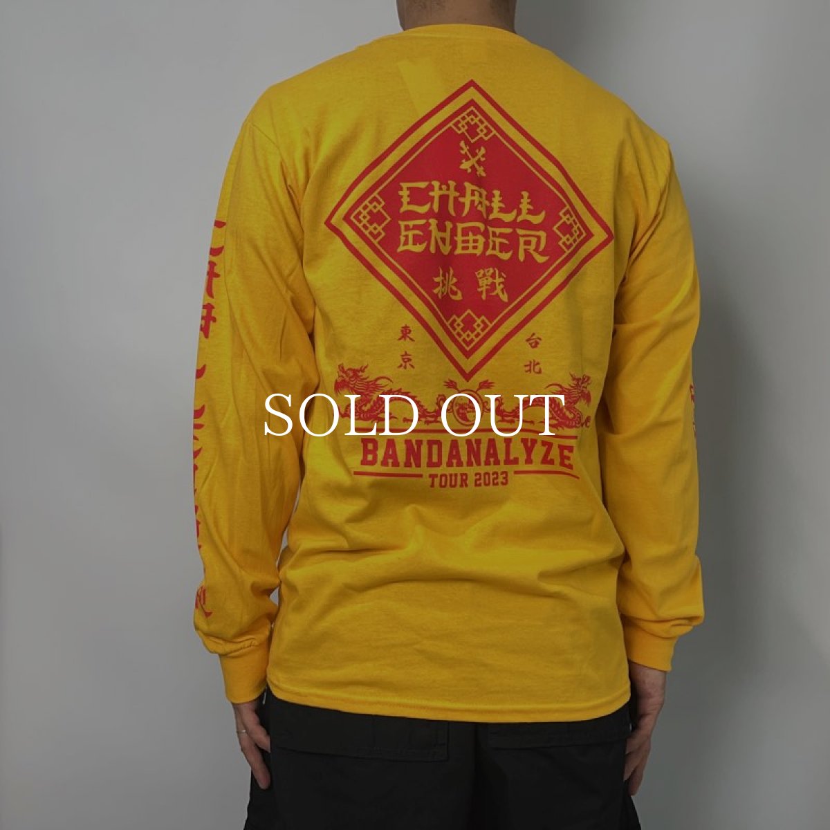 画像6: CHALLENGER  BD 2023 TOUR L/S TEE (YELLOW) (6)