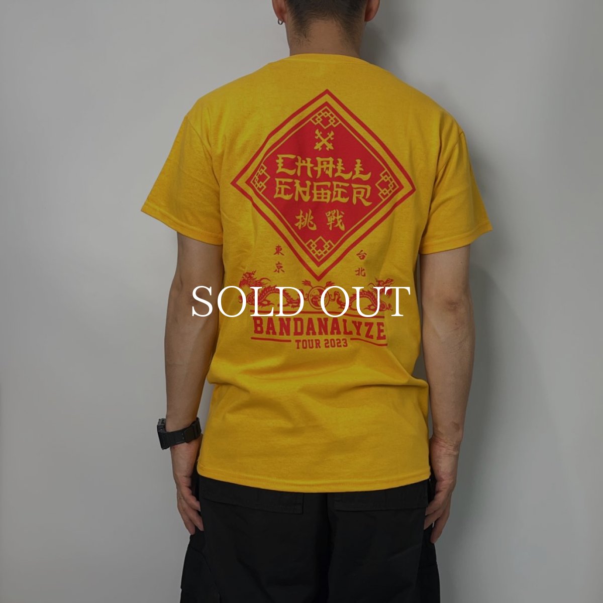 画像6: CHALLENGER  BD 2023 TOUR TEE (YELLOW) (6)