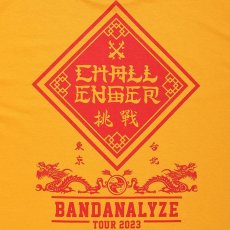 画像4: CHALLENGER  BD 2023 TOUR TEE (YELLOW) (4)