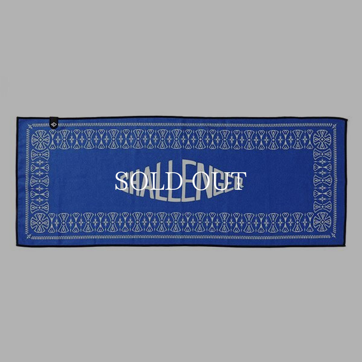 画像1: CHALLENGER  BEACH TOWEL (NAVY) (1)