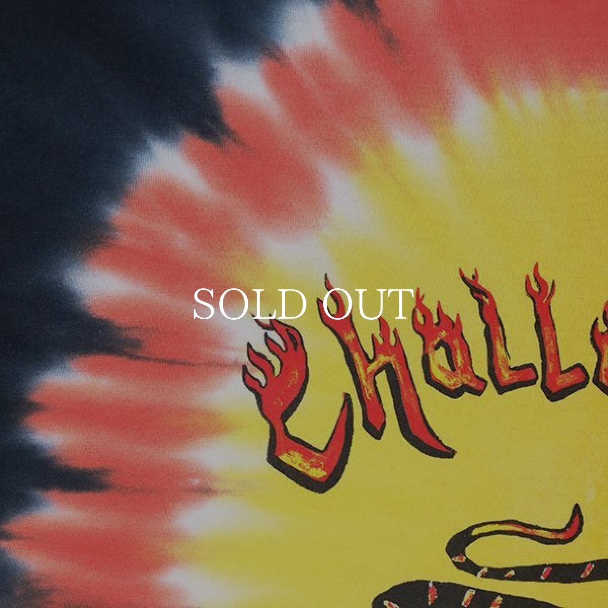 画像3: CHALLENGER  TIE DYE BURNING SNAKE TEE (TIE DYE) (3)