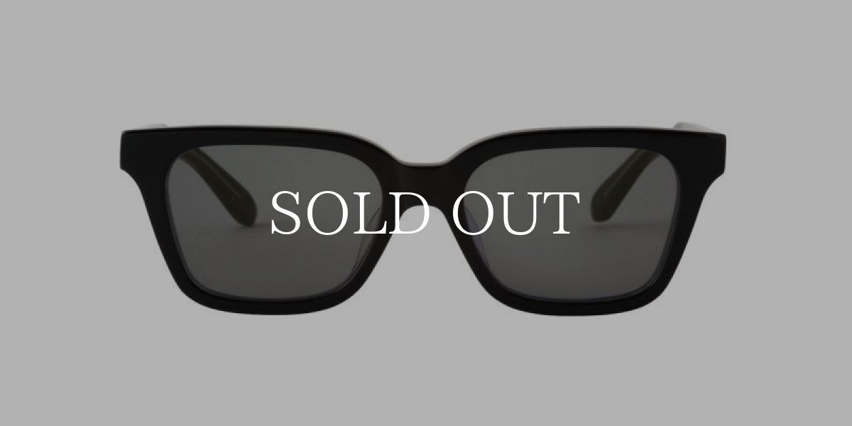 画像2: A.D.S.R.  NAVARRO 01 (2)